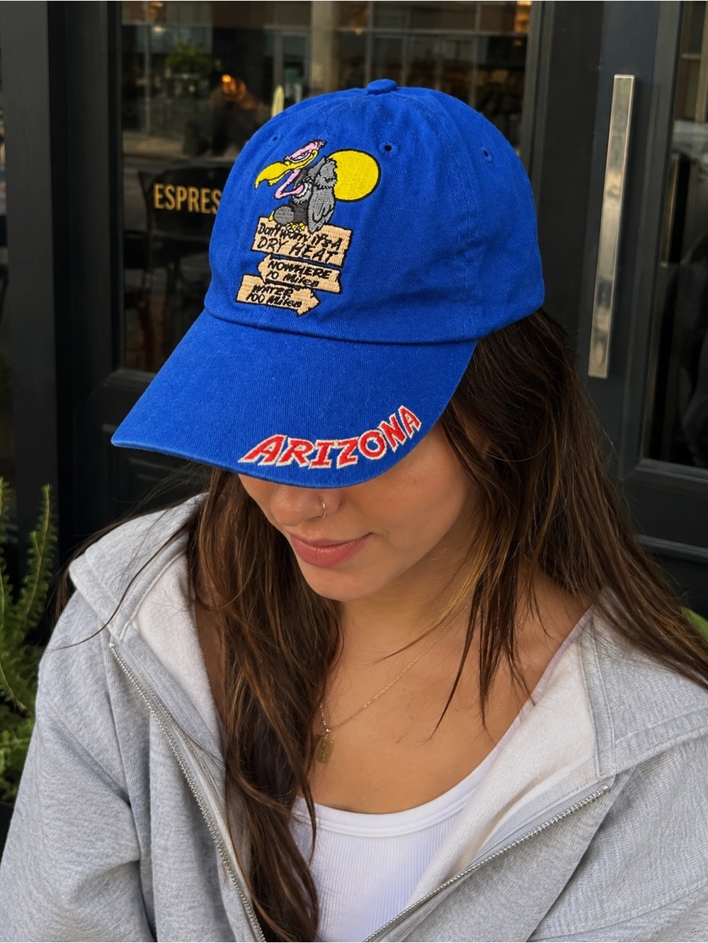Vintage Arizona "But When It’s A Dry Heat" Embroidered Cap 🌵☀️